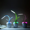 LED Flowerpot-Style Table & Desk Lamps at Lampz Store