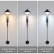 LED Indoor Hanging Wall Lamps at Lampz Store